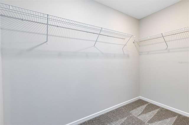 2302 Southbury Dr, Kissimmee, FL 34744 - walk in closet with carpet