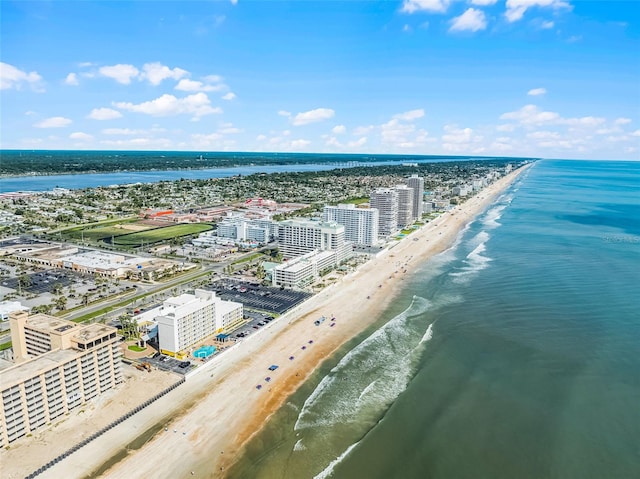 2700 N Atlantic Ave Unit 217, Daytona Beach, FL 32118 - photo 17