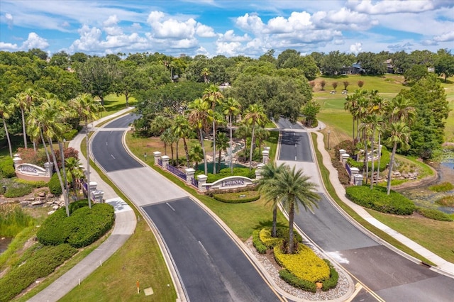 4216 Fawn Meadows Cir, Clermont, FL 34711 - bird's eye view of a tree filled landscape