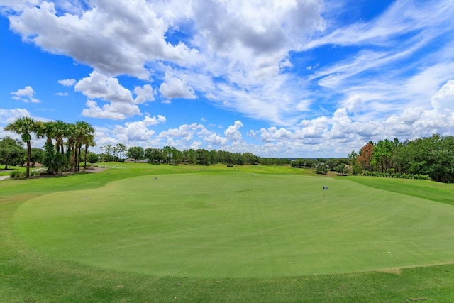 4216 Fawn Meadows Cir, Clermont, FL 34711 - view of property's community with golf course view, an area to practice putting, and view of scattered trees
