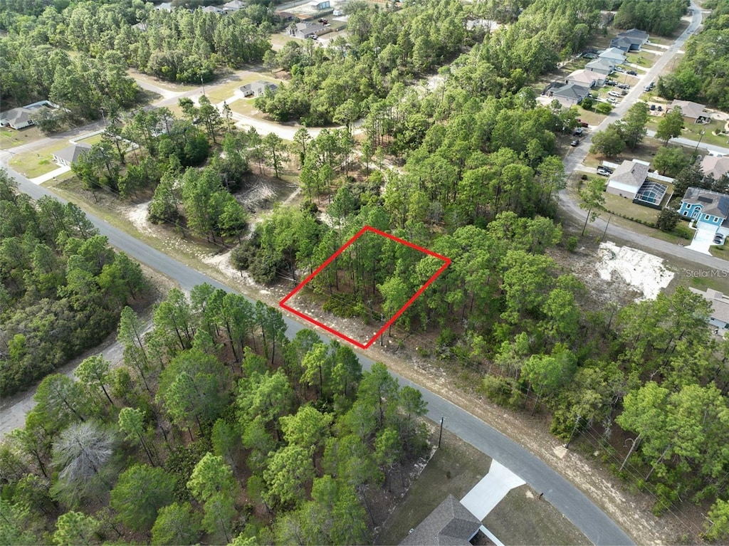 1921 W Riley Dr, Dunnellon, FL 34434 - photo 1