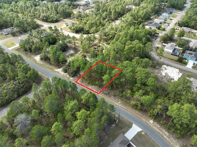 1921 W Riley Dr, Dunnellon, FL 34434 - photo 1