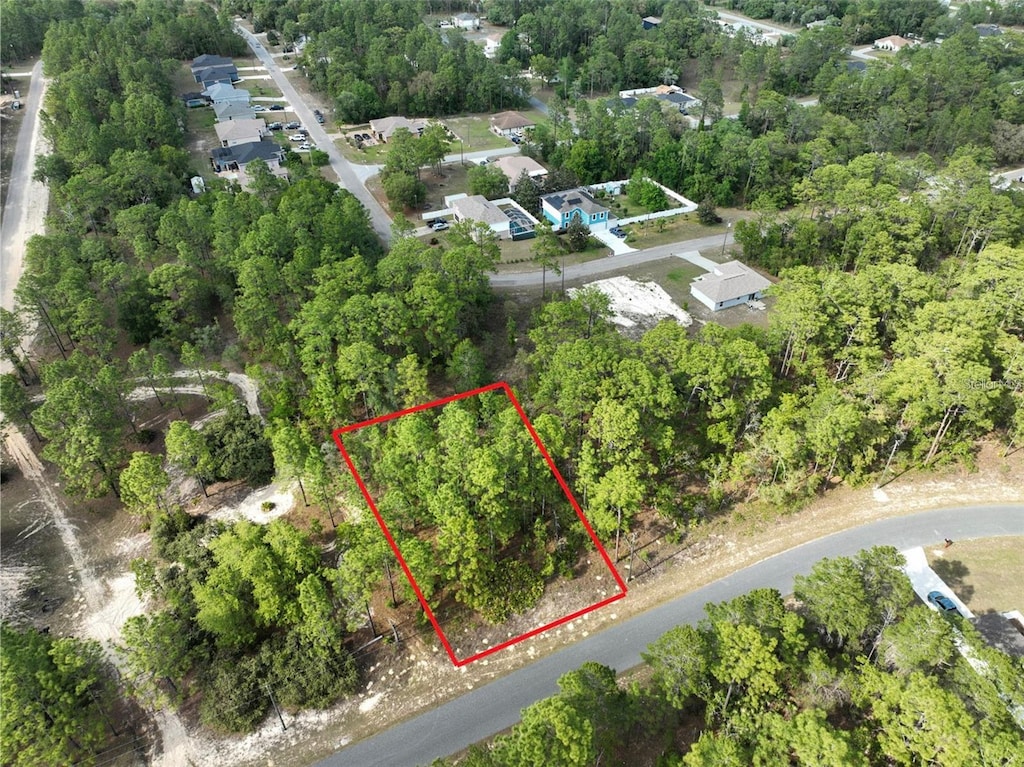 1921 W Riley Dr, Dunnellon, FL 34434 - photo 2