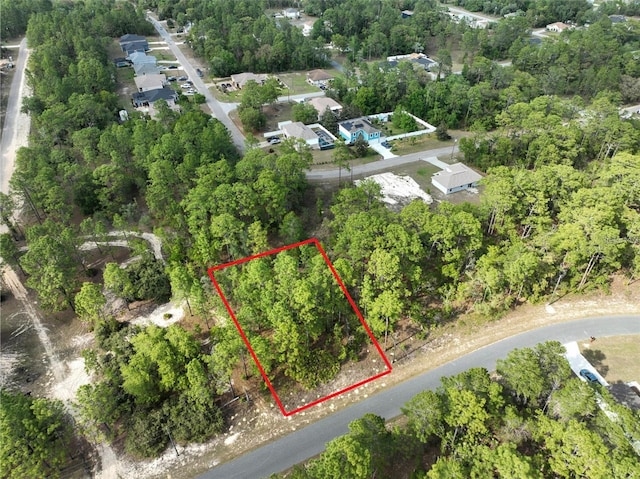 1921 W Riley Dr, Dunnellon, FL 34434 - photo 2