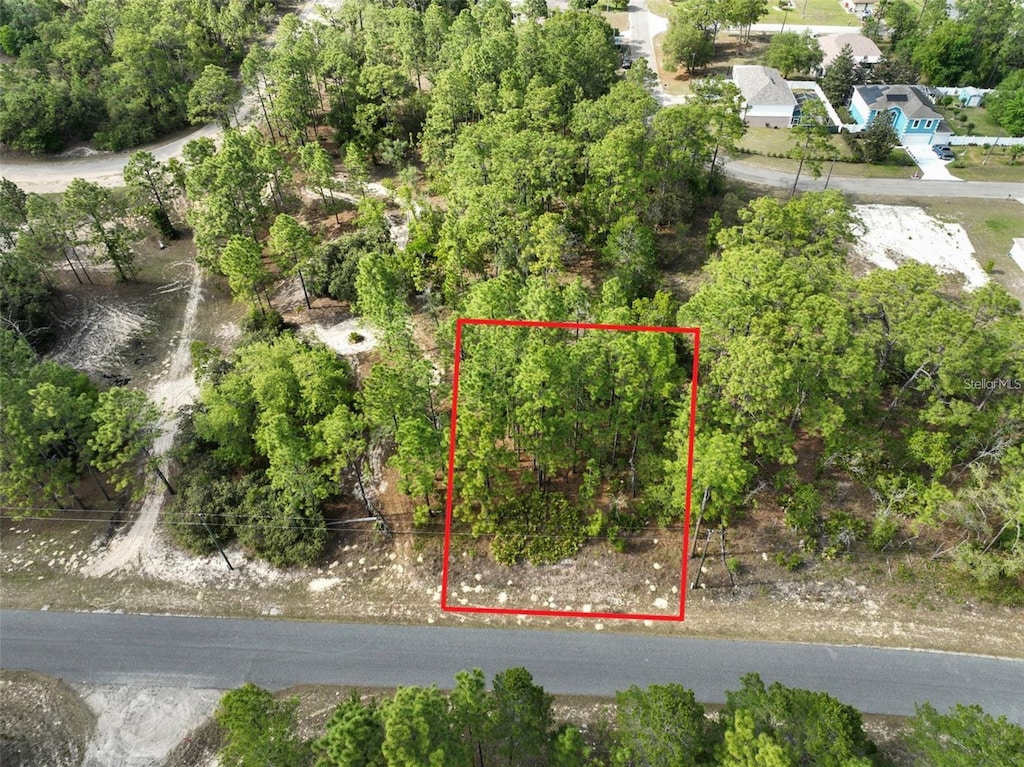 1921 W Riley Dr, Dunnellon, FL 34434 - photo 3