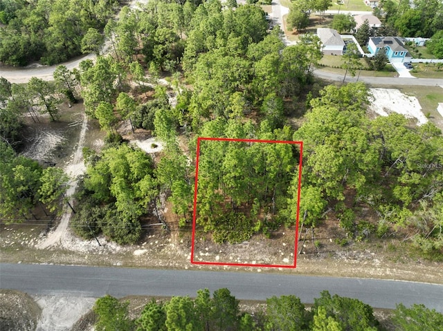 1921 W Riley Dr, Dunnellon, FL 34434 - photo 3