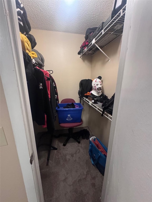 320 Forestway Cir Unit 203, Altamonte Springs, FL 32701 - spacious closet with carpet flooring