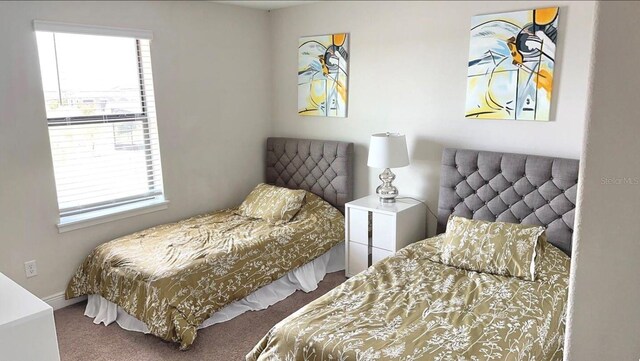 197 Macaulays Cv, Haines City, FL 33844 - bedroom with carpet and multiple windows
