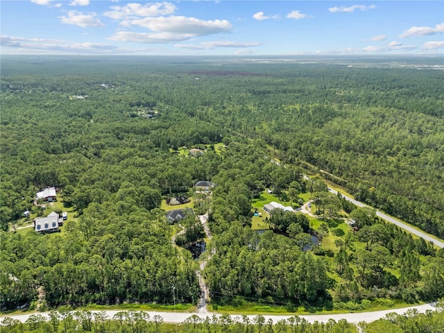 859 Leather Fern Ln, Mims, FL 32754 - aerial view of property's location with a heavily wooded area