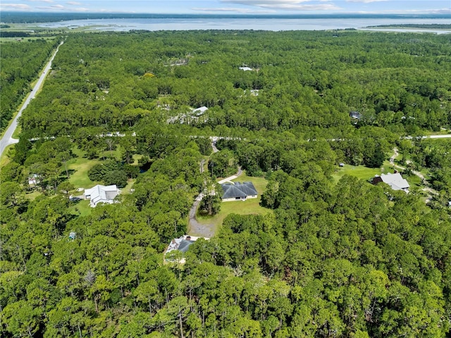 859 Leather Fern Ln, Mims, FL 32754 - aerial view of property's location featuring a forest