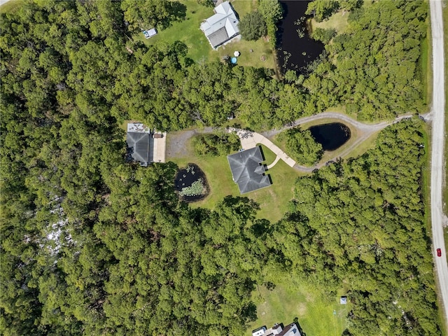 859 Leather Fern Ln, Mims, FL 32754 - aerial view of property's location