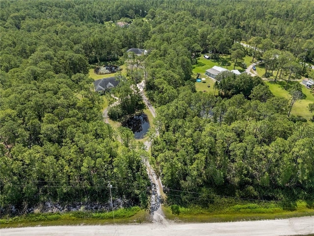 859 Leather Fern Ln, Mims, FL 32754 - view of property location featuring a forest