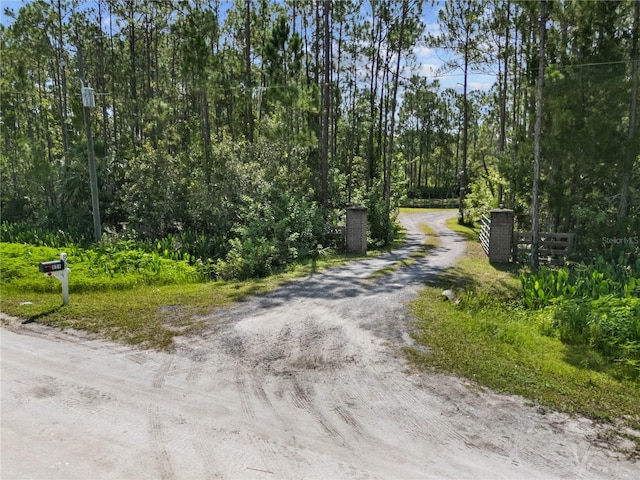 859 Leather Fern Ln, Mims, FL 32754 - view of dirt / gravel road