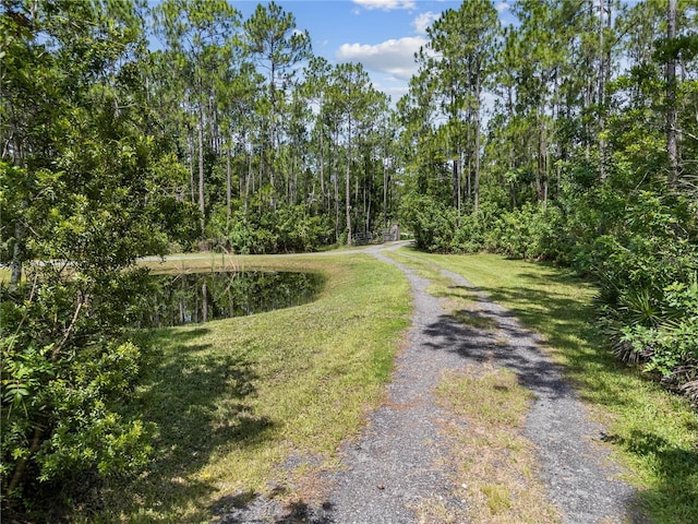 859 Leather Fern Ln, Mims, FL 32754 - view of road featuring a forest view