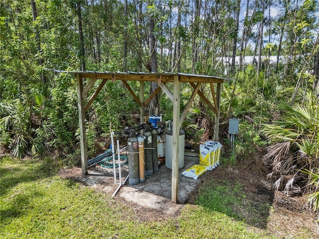 859 Leather Fern Ln, Mims, FL 32754 - view of yard