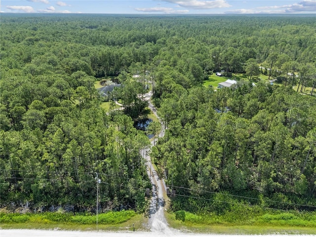 859 Leather Fern Ln, Mims, FL 32754 - bird's eye view of a forest