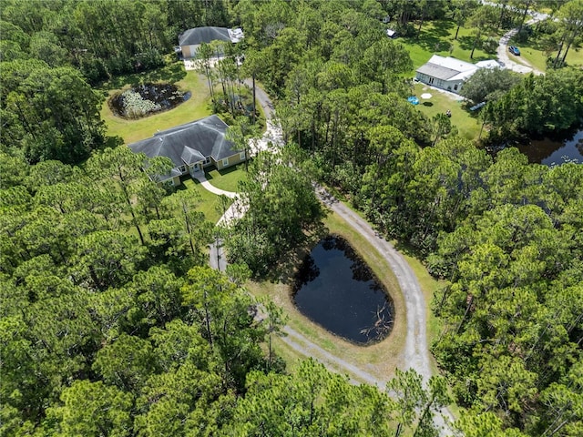 859 Leather Fern Ln, Mims, FL 32754 - aerial view of property and surrounding area with a nearby body of water and a forest