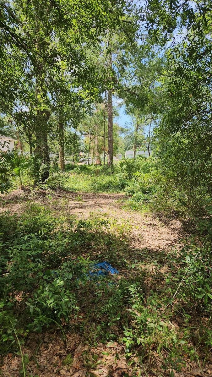 7624 Anno St, Tampa, FL 33625 - photo 1