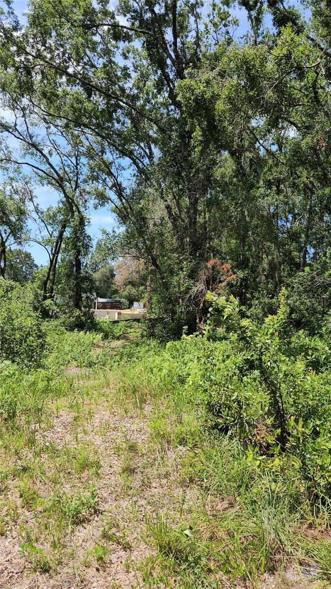 7624 Anno St, Tampa, FL 33625 - photo 2