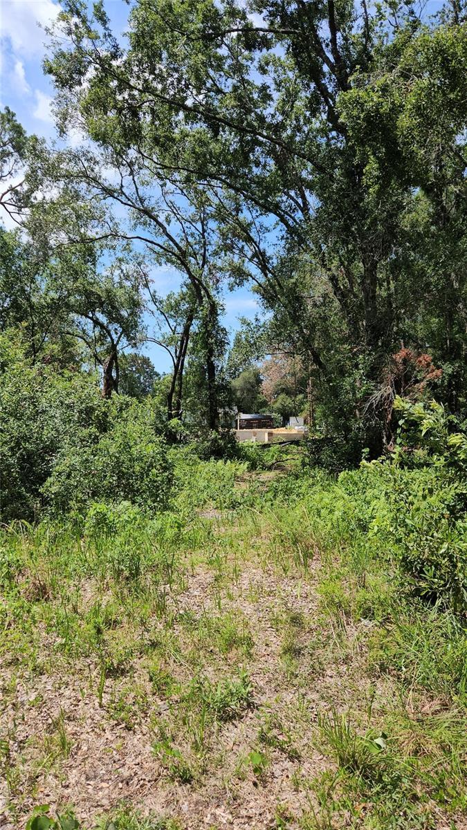 7624 Anno St, Tampa, FL 33625 - photo 3
