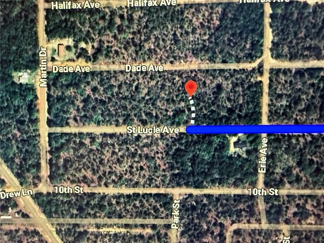 St Lucie Ave, Interlachen, FL 32148