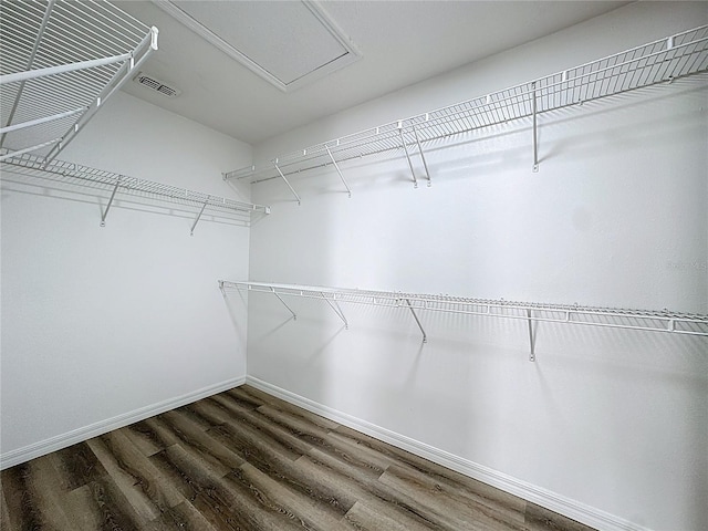 229 Largovista Dr, Oakland, FL 34787 - walk in closet with wood finished floors