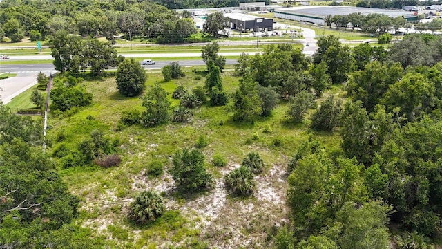 3715 W Orange Blossom Trl, Apopka, FL 32712