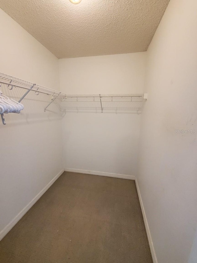 8630 Knottingham Dr, Kissimmee, FL 34747 - walk in closet with carpet flooring