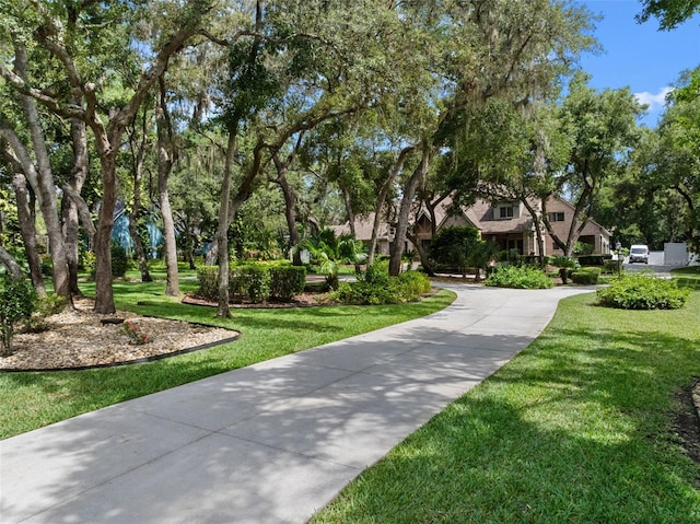 9045 Mossy Oak Ln, Clermont, FL 34711 - view of property's community featuring a yard and concrete driveway