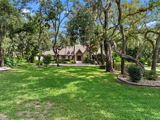 9045 Mossy Oak Ln, Clermont, FL 34711 - view of grassy yard