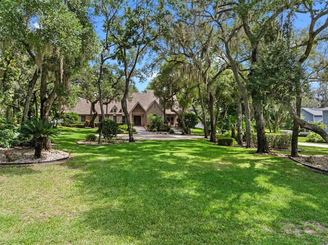 9045 Mossy Oak Ln, Clermont, FL 34711 - view of green lawn