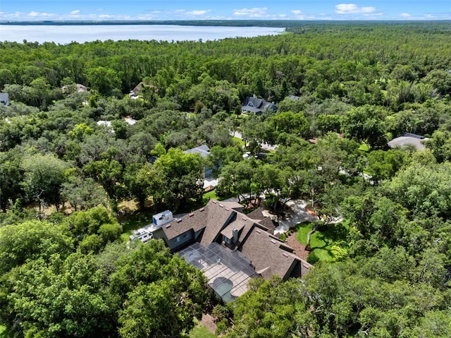 9045 Mossy Oak Ln, Clermont, FL 34711 - bird's eye view of a forest and a nearby body of water