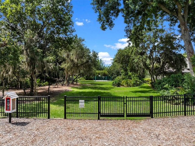9045 Mossy Oak Ln, Clermont, FL 34711 - surrounding community with view of scattered trees