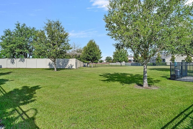 14897 Ellingsworth Ln, Winter Garden, FL 34787 - view of yard