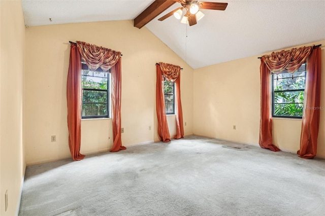 382 Haverlake Cir, Apopka, FL 32712 - photo 14