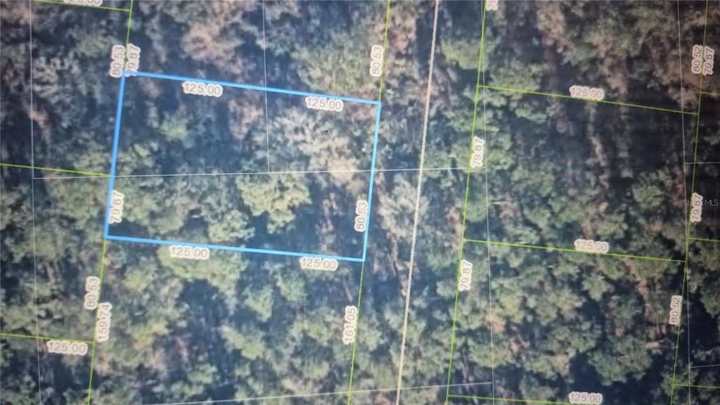 6557 Persis Dr, Sebring, FL 33872