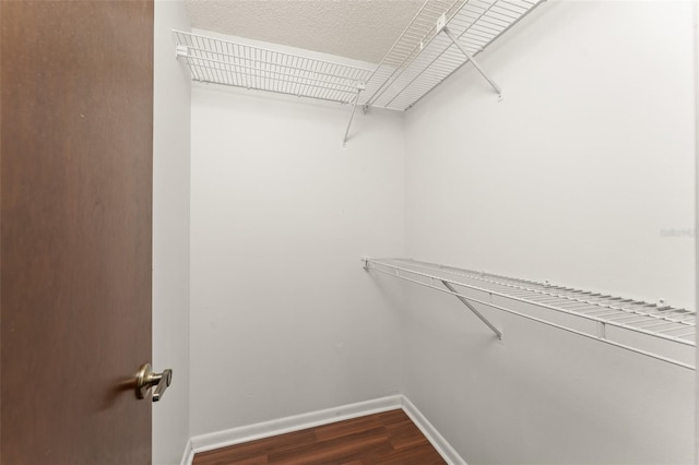 17 Rosewood Dr, Davenport, FL 33837 - spacious closet featuring dark wood-style flooring