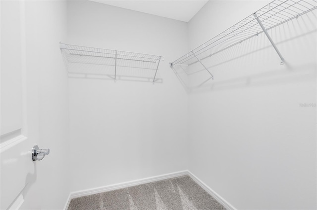 2304 Southbury Dr, Kissimmee, FL 34744 - spacious closet with carpet