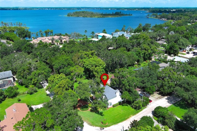 109 E 12th Ave, Windermere, FL 34786 - photo 3