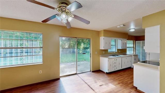 3687 Baronette Dr, Orlando, FL 32818 - photo 19