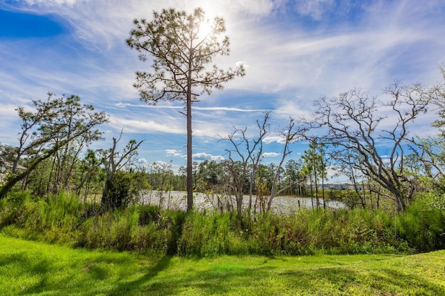 1030 Plantation Ln, Davenport, FL 33896 - view of yard with a water view