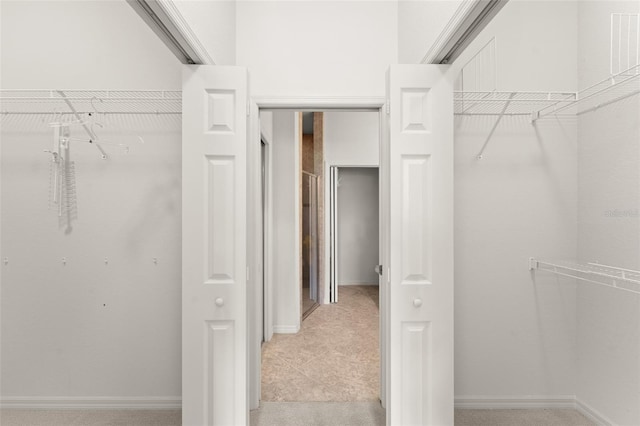 1218 Vienna Square Dr, Winter Haven, FL 33884 - view of spacious closet