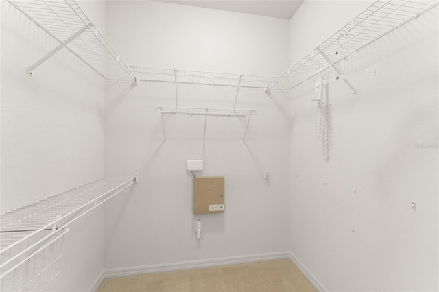 1218 Vienna Square Dr, Winter Haven, FL 33884 - walk in closet with carpet