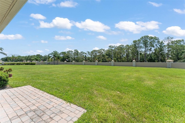 1218 Vienna Square Dr, Winter Haven, FL 33884 - view of yard with a patio area