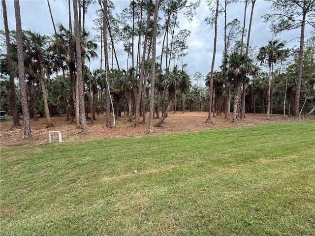 788 9th St SW, Naples, FL 34117 - photo 35