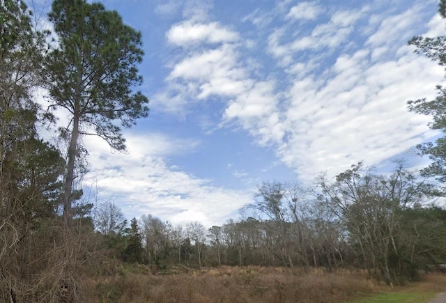 100 N Cypress St, Walnut Hill, FL 32568 - photo 1