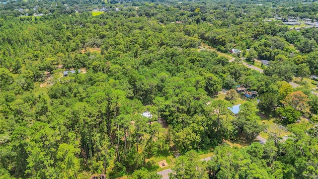 2326 Getford Rd, Eustis, FL 32726 - photo 29