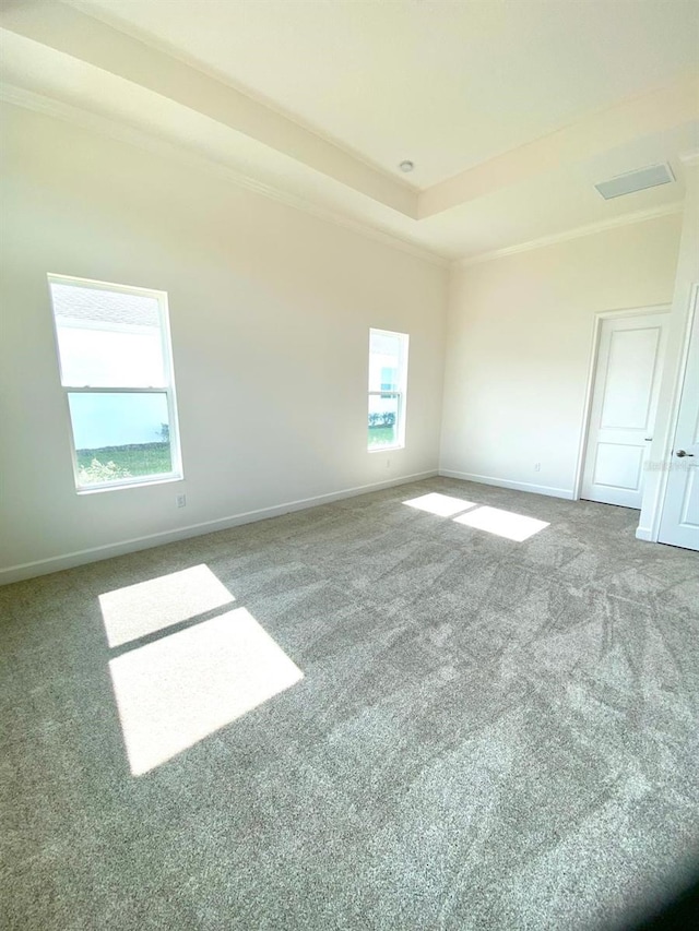 16071 Barkly Ridge Ct, Winter Garden, FL 34787 - carpeted empty room featuring ornamental molding and a tray ceiling
