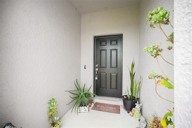 169 Sweet Pea Ct, Kissimmee, FL 34759 - photo 3
