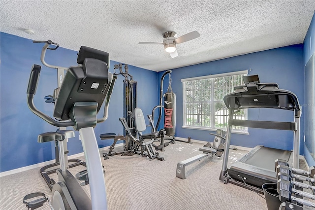 569 Yearling Cove Loop, Apopka, FL 32703 - workout room featuring a ceiling fan, carpet, and a textured ceiling